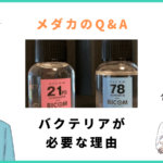 メダカにバクテリアが欠かせない3つの理由