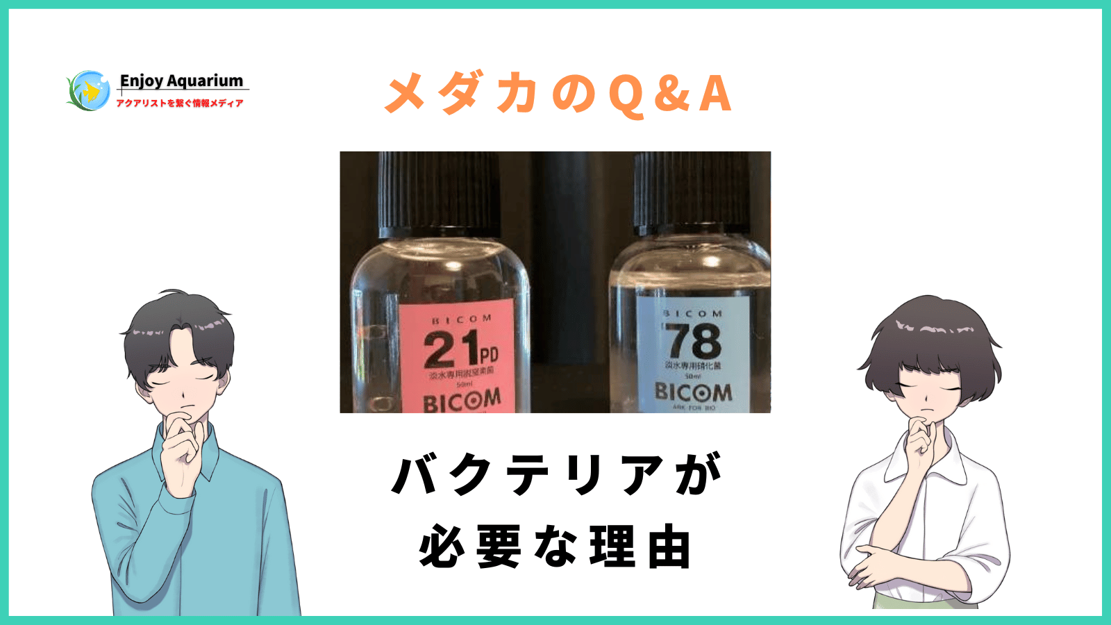 メダカにバクテリアが欠かせない3つの理由