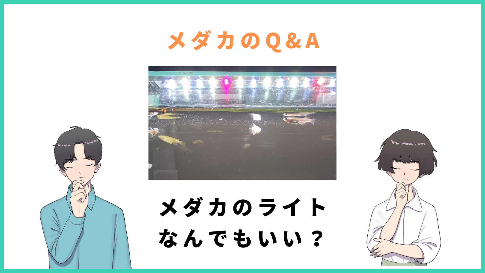 メダカのライト なんでもいい？