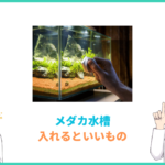 メダカの水槽に入れると いい もの
