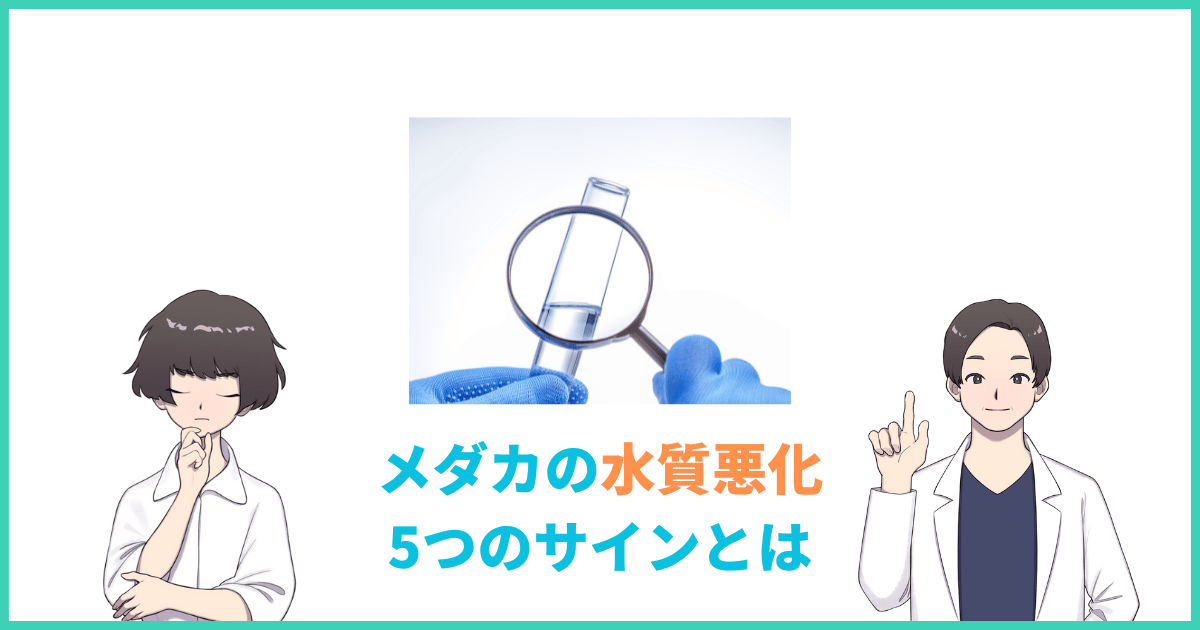 メダカの水質悪化 5つのサインとは