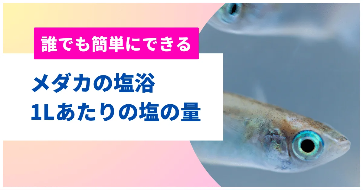 メダカの元気がない・餌を食べないときの原因と対処方法 |アクアリウムTIPS「メダカの飼い方事典」