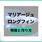 マリアージュロングフィンメダカの特徴と固定率