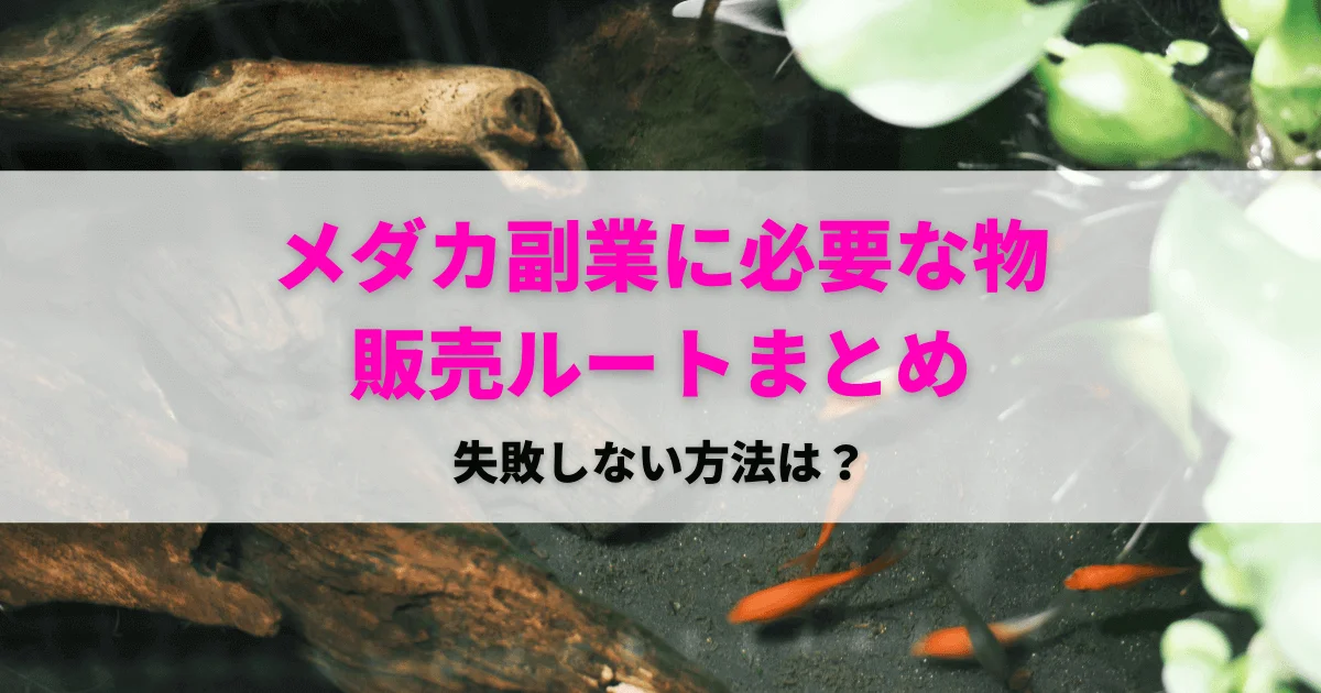 メダカ副業は稼げない？失敗しない売れるルート・品種｜必要な道具一覧 |アクアリウムTIPS「金魚の飼い方事典」