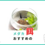 メダカ 餌 おすすめ
