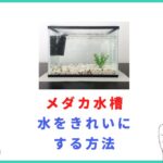 メダカ水槽の水をきれいにする方法