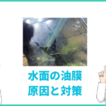 水槽の水面に発生する油膜の原因