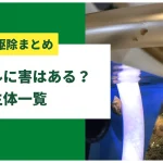 水槽のスネール(小さい貝)を駆除する6つの方法と食べる生体8選