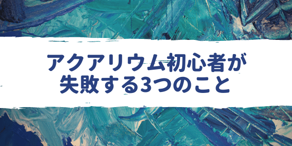 流木が沈まないなどのアクアリウム初心者が失敗しがちなこと