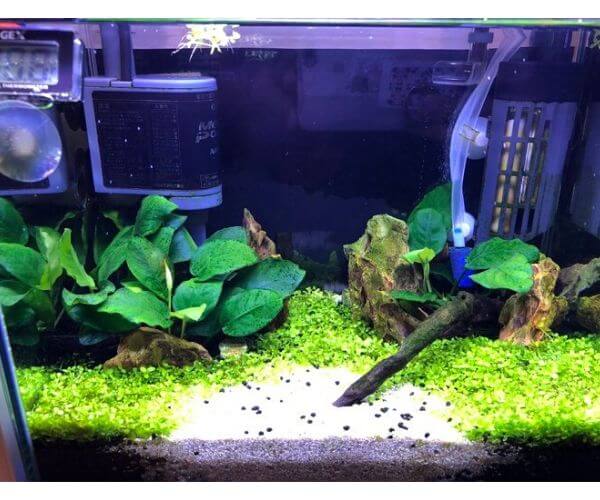 ゆうのレイアウト6