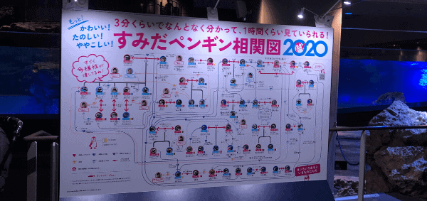 すみだ水族館「ペンギン相関図」