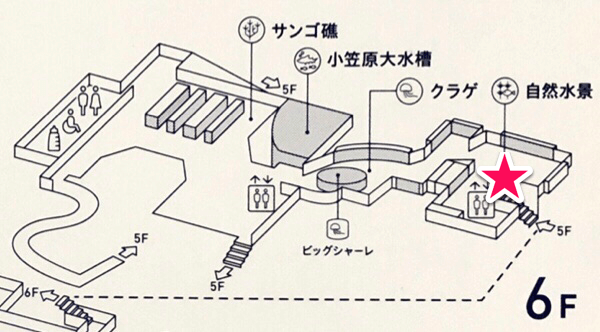 すみだ水族館「自然水景エリアマップ」
