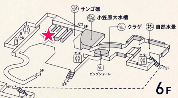 すみだ水族館「サンゴ礁エリアマップ」