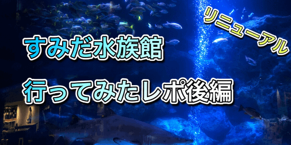 すみだ水族館レポ後編アイキャッチ