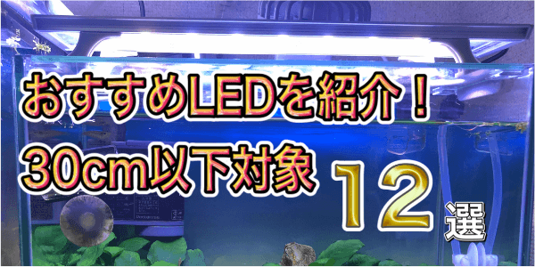 30cmのおすすめLEDを紹介