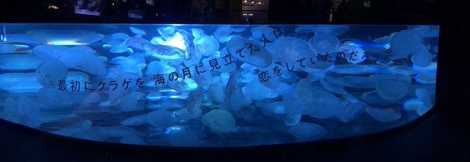 すみだ水族館「空想する水槽」ビッグシャーレ