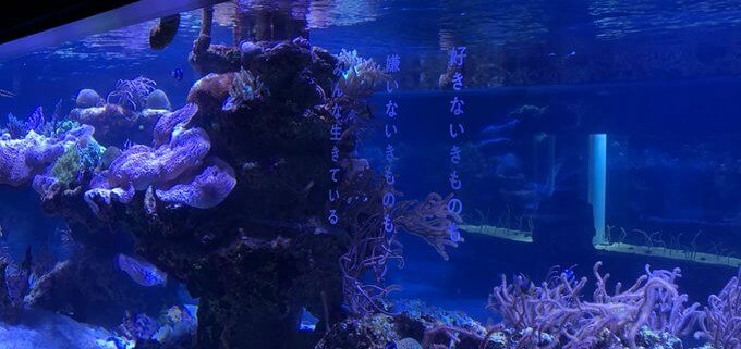 すみだ水族館「空想する水槽」