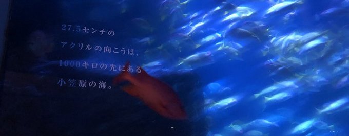 すみだ水族館「空想する水槽」