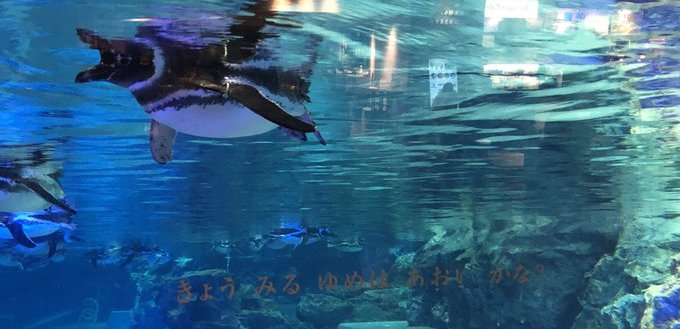 すみだ水族館「空想する水槽」