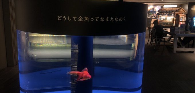 すみだ水族館「空想する水槽」