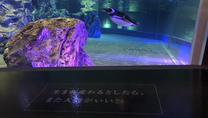 すみだ水族館「空想する水槽」