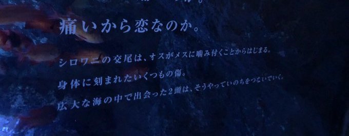 すみだ水族館「空想する水槽」