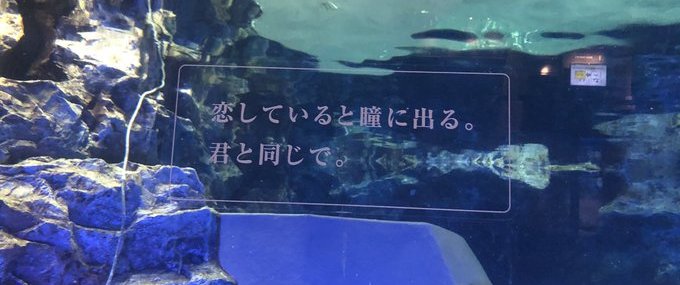 すみだ水族館「空想する水槽」