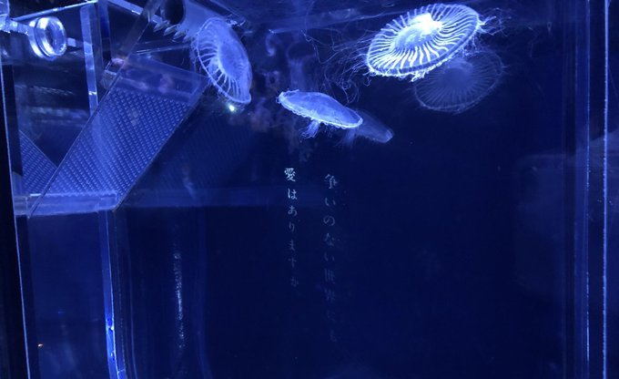 すみだ水族館「空想する水槽」