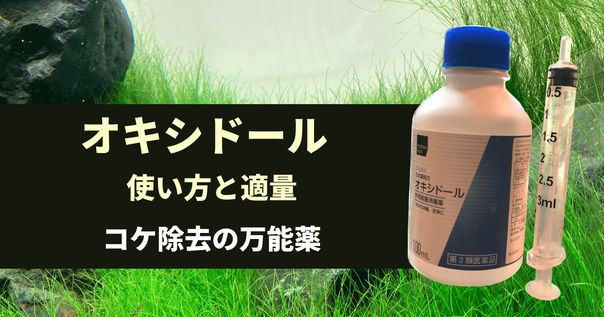 藍藻やアオミドロの対策にオキシドールを使った記事のアイキャッチ