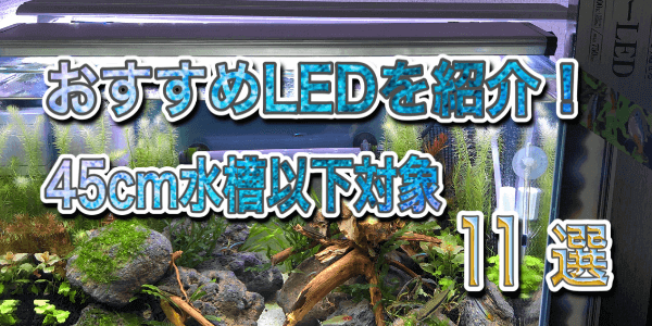 45cm水槽向けおすすめLEDライトランキング