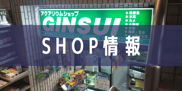 アクアショップGINSUI