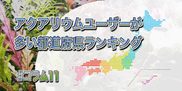 アクアリウム人口都道府県ランキング