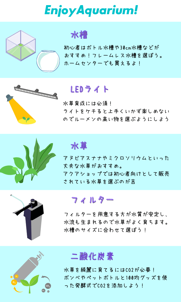 アクアリウムを始めるのに必要な道具