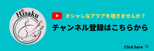 緋作 -Hisaku-のチャンネル