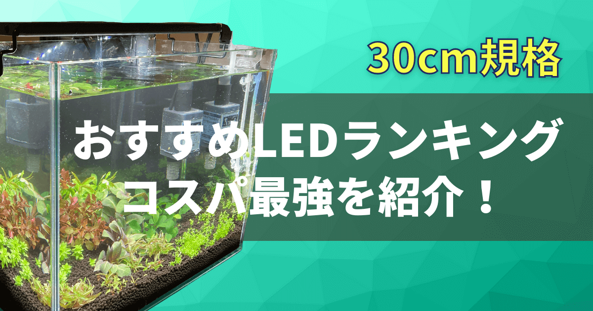 30cmのおすすめLEDを紹介