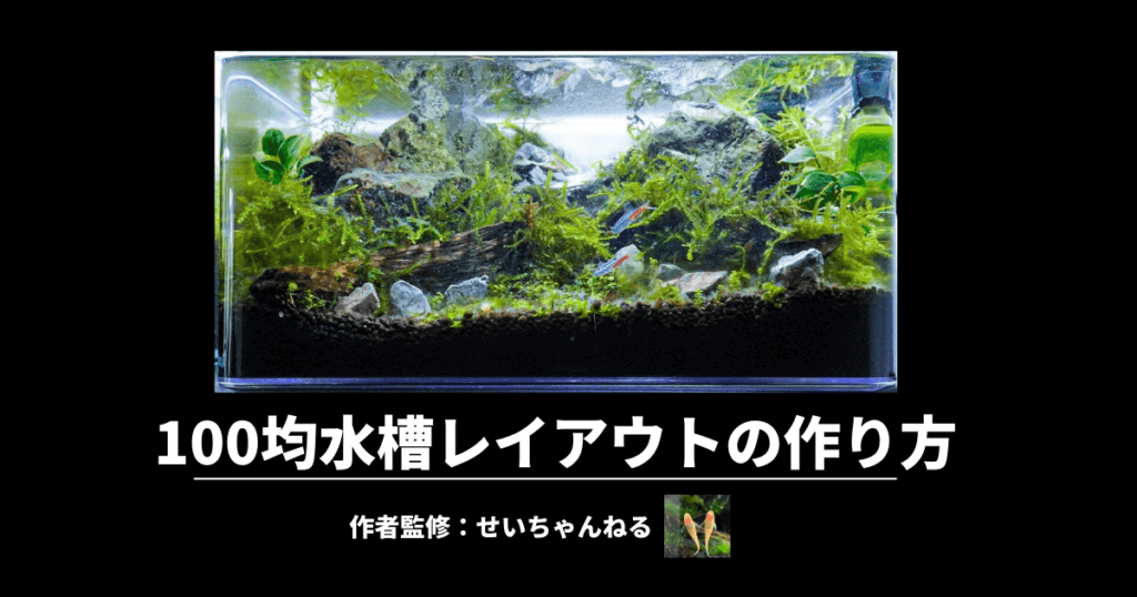 100均水槽レイアウトの作り方