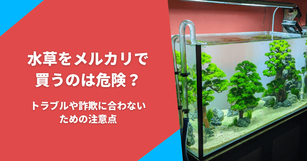 メルカリで水草を買うときの注意点