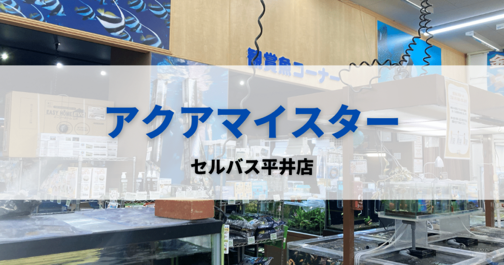 アクアショップセルバス平井店