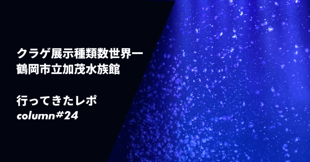 鶴岡市立加茂水族館の写真スポット