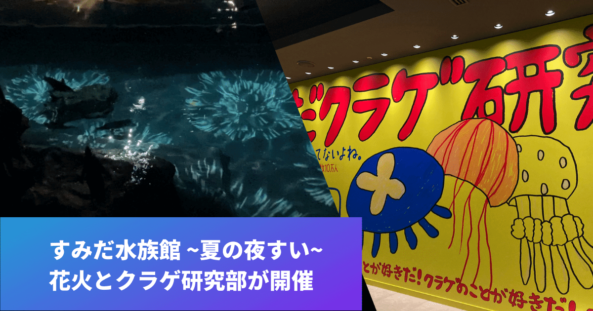 すみだ水族館「夜すい・クラゲ研究部」