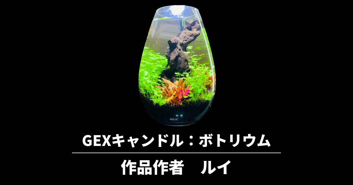 水草ボトリウムの作り方｜GEXキャンドルを使ったレイアウト