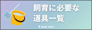 メダカ飼育に必要なもの