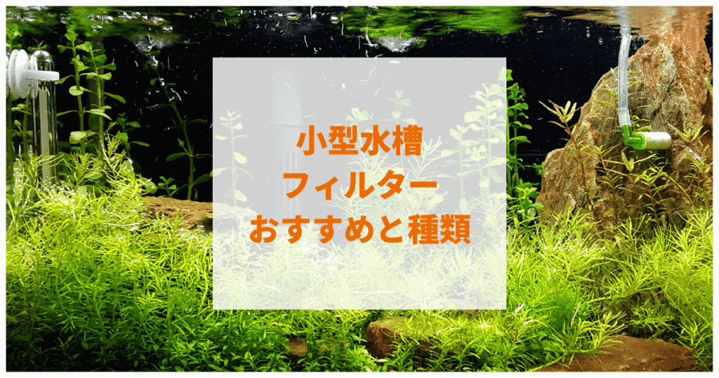 小型水槽フィルターで静かな商品おすすめ9選(投げ込み・外掛け・水中式)