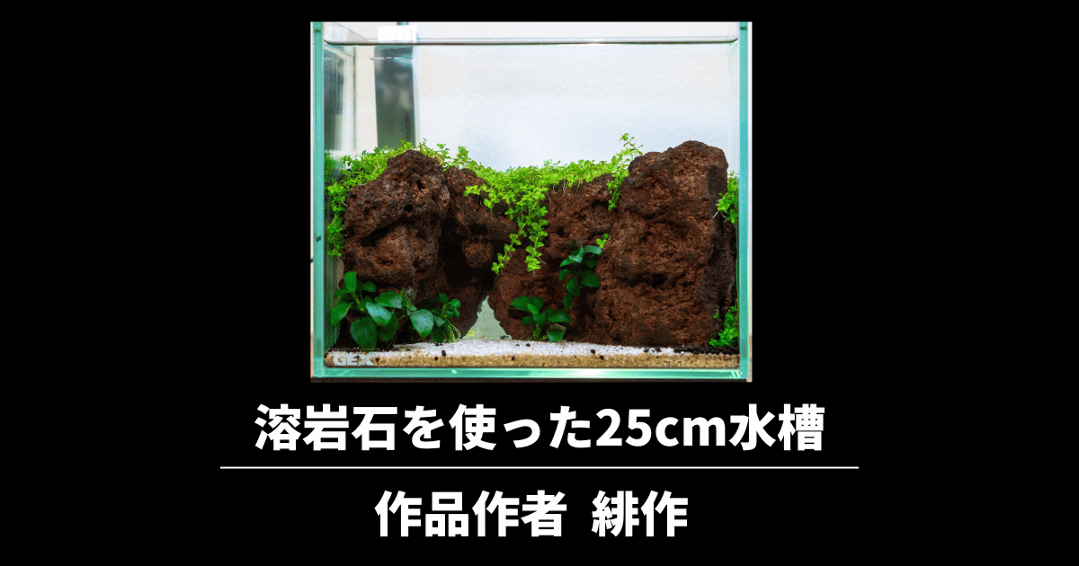 溶岩石を使った25cm水草水槽レイアウトの立ち上げと管理【緋作 -Hisaku-作】