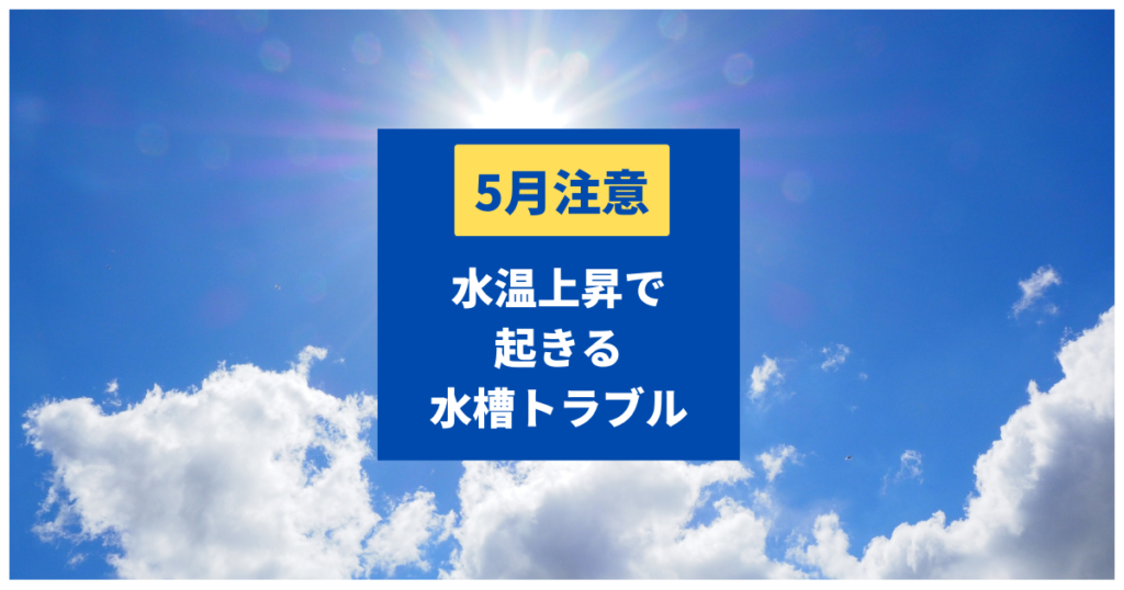 水槽の水温上昇対策をやるべき理由と効果絶大な下げる方法