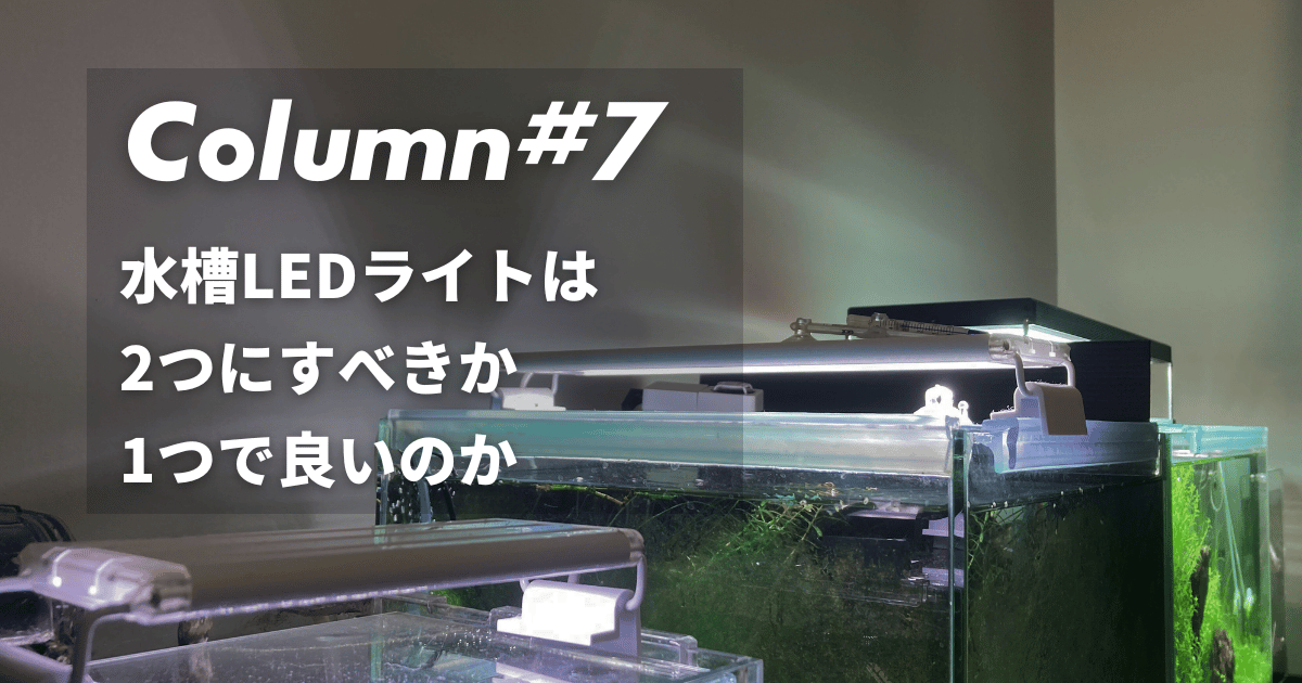 水槽LEDライトは2つ必要？