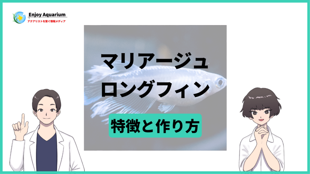 マリアージュロングフィンの特徴や販売値段・固定率・作り方